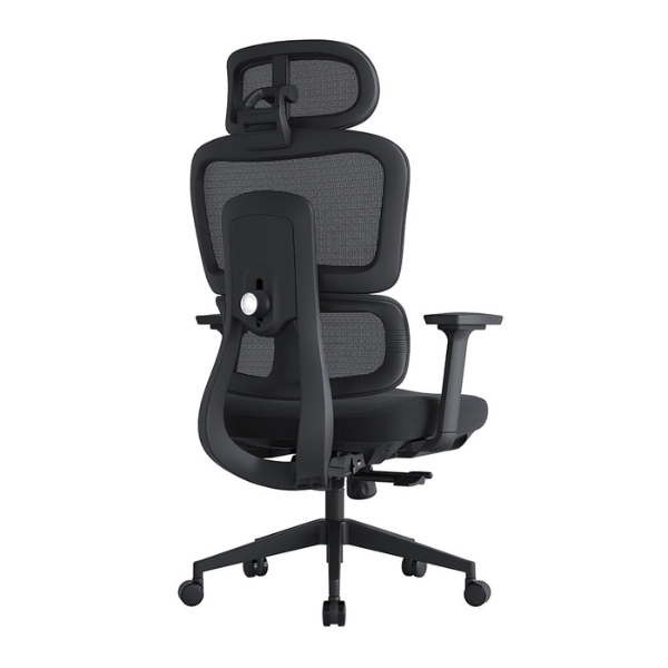Ghế công thái học cho người béo: CTH831 - Ảnh 4