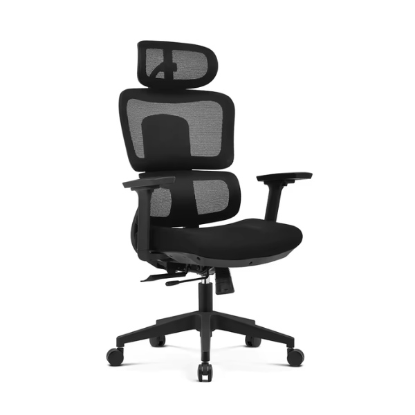 Ghế công thái học cho người béo: CTH831 - Ảnh 6