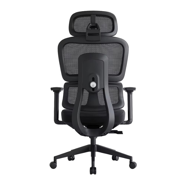Ghế công thái học cho người béo: CTH831 - Ảnh 7