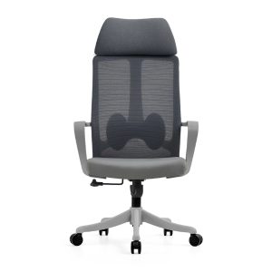 Ghế công thái học quốc dân: CTH523