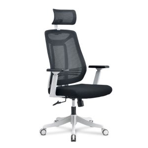 Ghế công thái học tay vịn 4D lưng lưới có tựa đầu: CTH1255