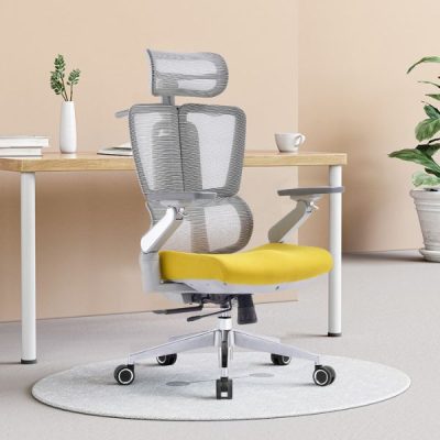 Ghế làm việc tại nhà công thái học: GLVT03